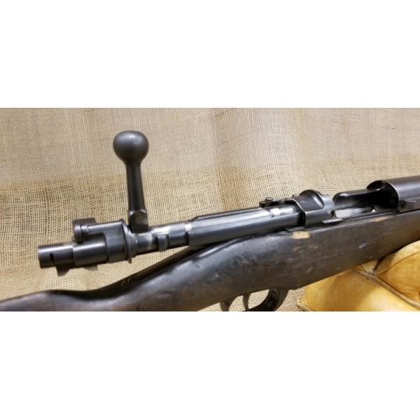 Siamese Mauser 46\66 with dust cover