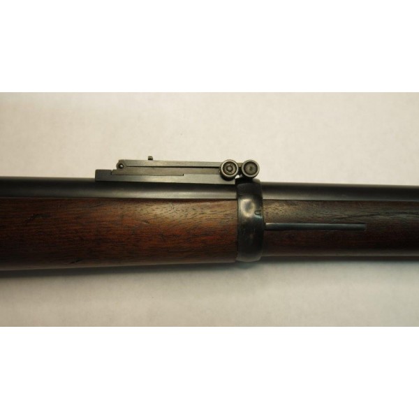 Springfield Armory Model 1888 made into a Positive Cam Rifle