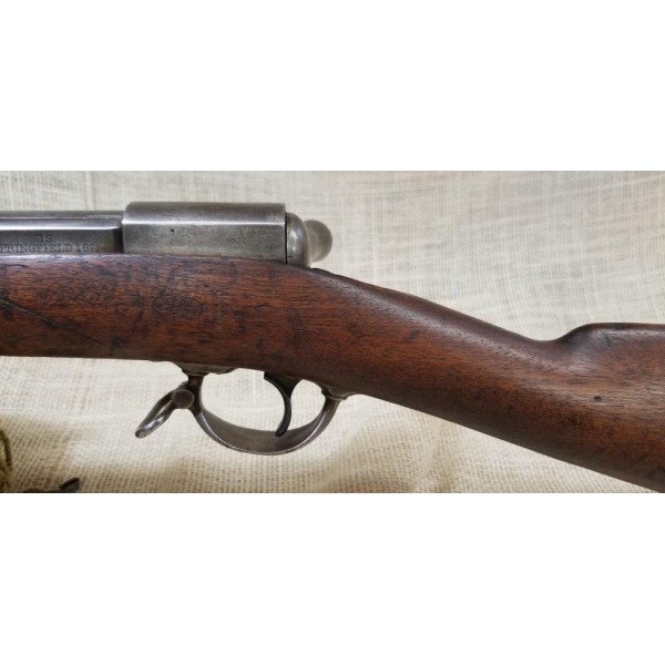 Springfield Armory Ward - Burton Rifle M1871